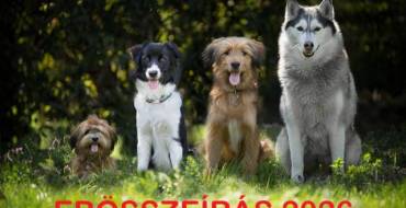 Ebösszeírás 2026.